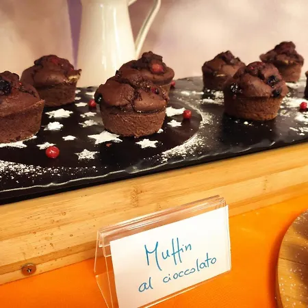 Senior Hotel Cattolica