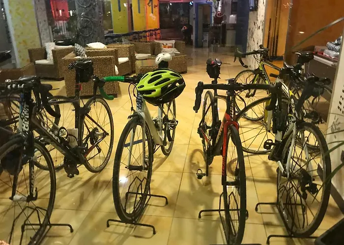 Senior Отель Каттолика