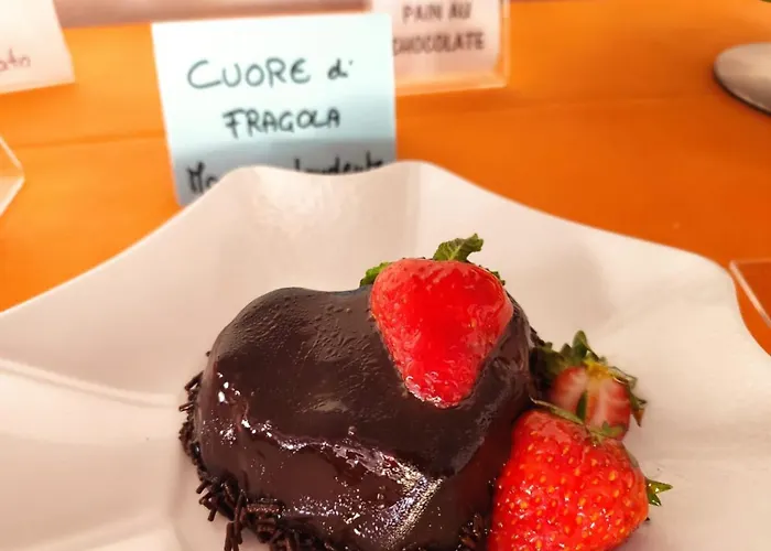 Senior فندق كاتوليكا