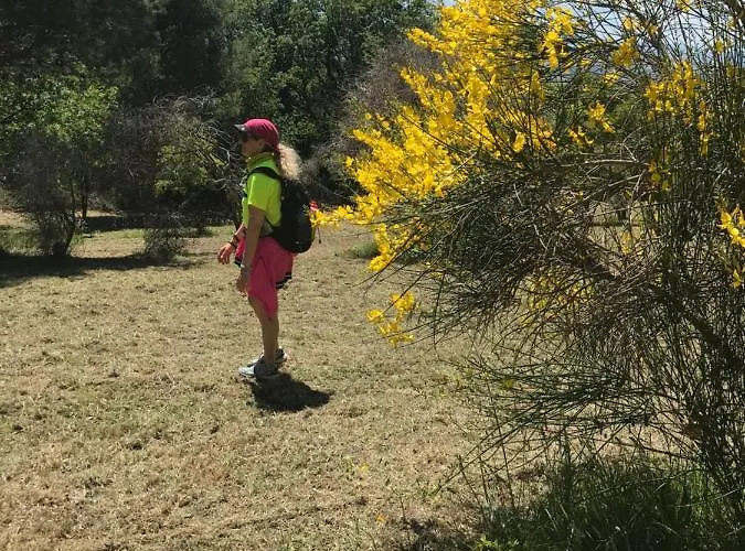 Отель Senior 3*