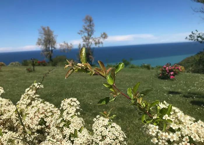 Senior Отель 3*